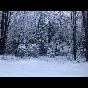 Meet your Posher, Janine